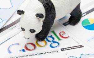 google_panda